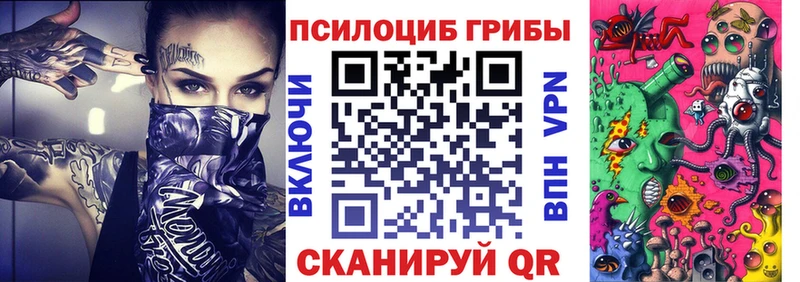 Псилоцибиновые грибы Cubensis  Западная Двина 