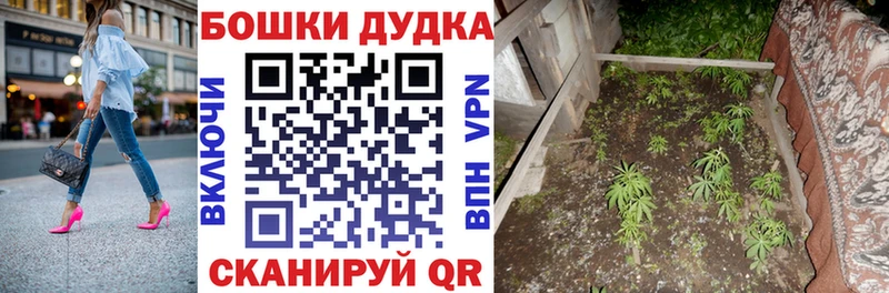 Бошки марихуана план  дарнет шоп  Западная Двина 